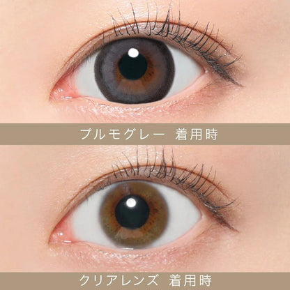 Secret Candy Magic Plumo Gray (MONTH/1 Piece)
