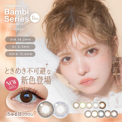 Angelcolor Bambi Series Vintage Bear (DAILY/10P) - MASHED POTATO UK | Colour Contact Lens