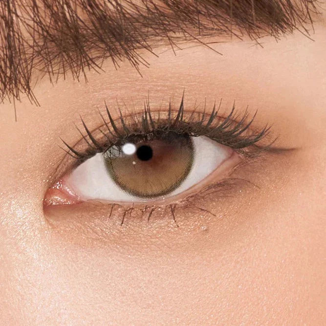 Hapa Kristin Secretive Dusk Brown (DAILY/10P) Mashed Potato Company Colored Contact Lenses