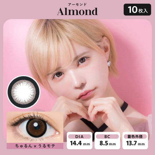 Angelcolor Bambi Series Almond (DAILY/10P) Mashed Potato Company Colored Contact Lenses