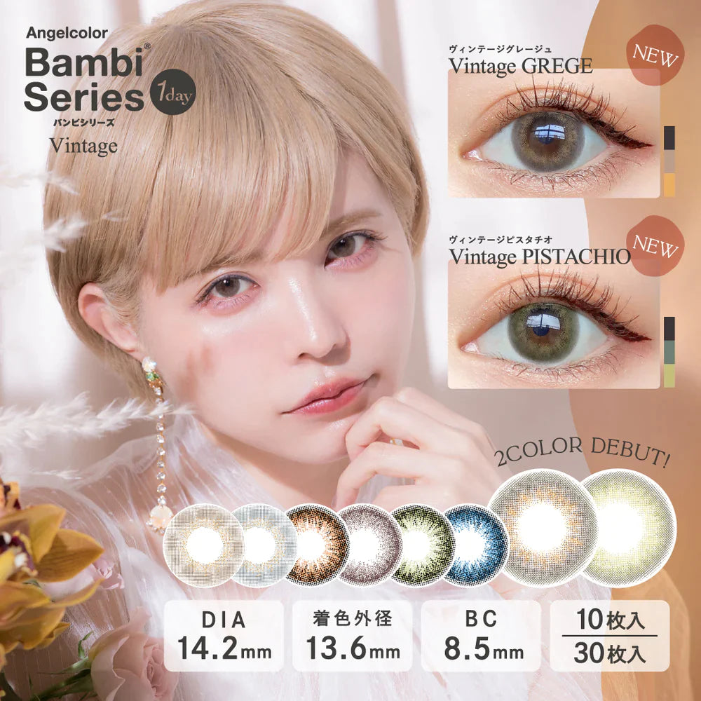 Angelcolor Bambi Series Vintage Gray (DAILY/10P) Mashed Potato Company Colored Contact Lenses
