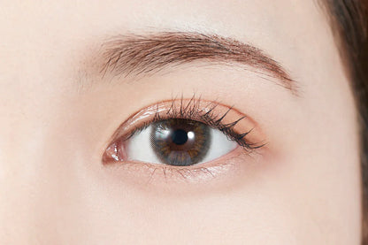 MOLAK Melty Mist (DAILY/10P) Mashed Potato Company Colored Contact Lenses