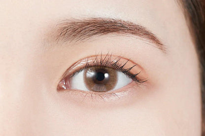 MOLAK Sakura Smore (DAILY/10P) - MASHED POTATO UK | Colour Contact Lens