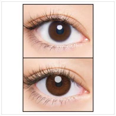 [coloured contact lenses] - [Mashed Potato]