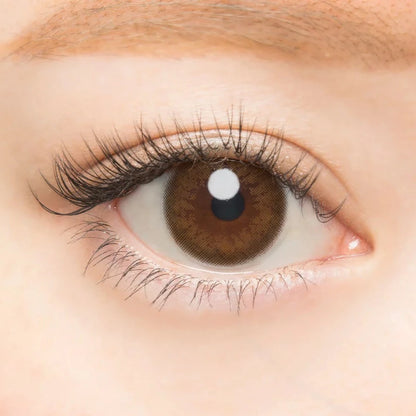 [coloured contact lenses] - [Mashed Potato]