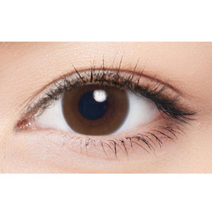 NEOISM Coco Brown (DAILY/50P) Mashed Potato Company Colored Contact Lenses