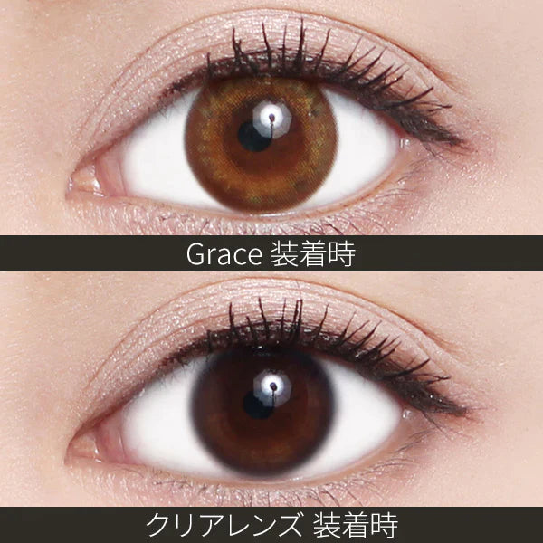 ReVIA Grace (DAILY/10P) Mashed Potato Company Colored Contact Lenses