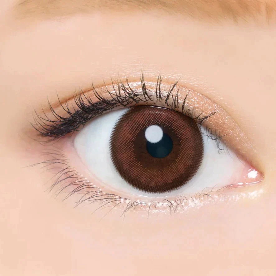Angelcolor Bambi Series Cassis Brown (DAILY/10P) Mashed Potato Company Colored Contact Lenses