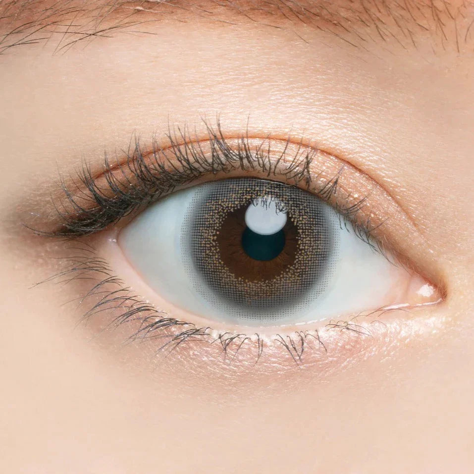 Angelcolor Bambi Series Vintage Gray (DAILY/10P) Mashed Potato Company Colored Contact Lenses