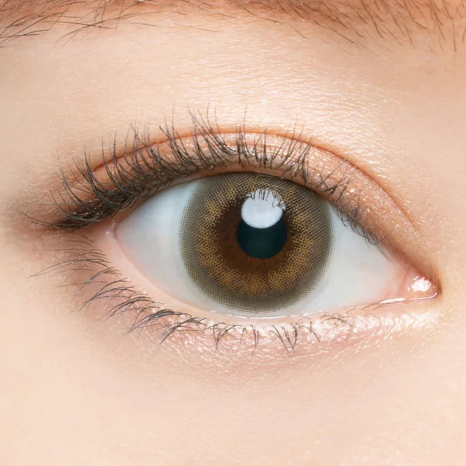 Angelcolor Bambi Series Vintage Greige (DAILY/10P) Mashed Potato Company Colored Contact Lenses