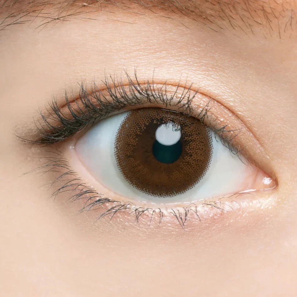 Angelcolor Bambi Series Vintage Nude (DAILY/10P) Mashed Potato Company Colored Contact Lenses