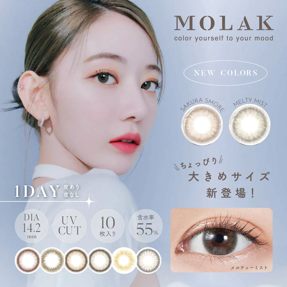 MOLAK Tint Brown (DAILY/10P) Mashed Potato Company Colored Contact Lenses