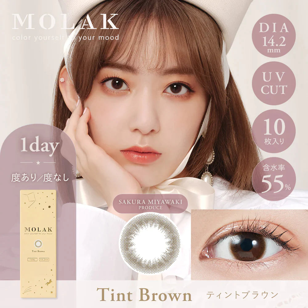 MOLAK Tint Brown (DAILY/10P) Mashed Potato Company Colored Contact Lenses