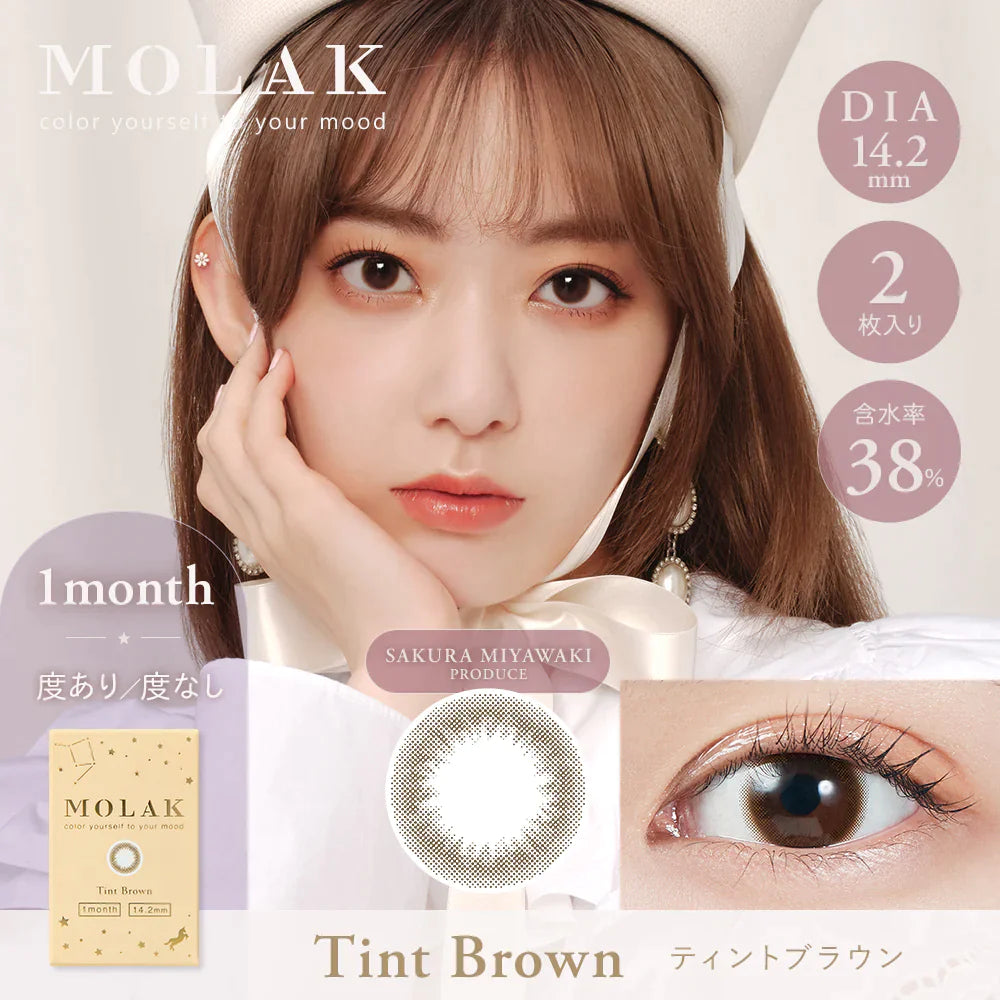 MOLAK Tint Brown (Month/2P) Mashed Potato Company Colored Contact Lenses