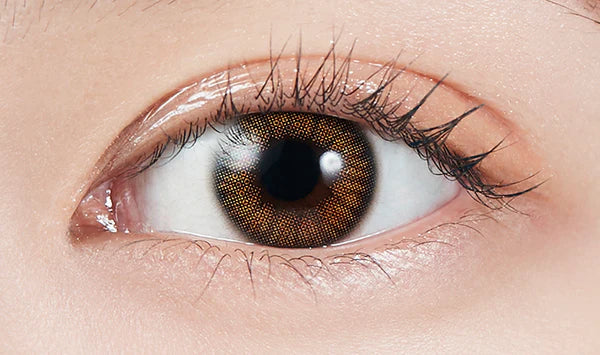 MOLAK Coral Brown (DAILY/10P) Mashed Potato Company Colored Contact Lenses