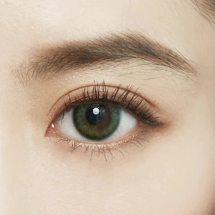 FOMOMY Forest Olive (DAILY/10P) Mashed Potato Company Colored Contact Lenses