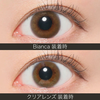 ReVIA Bianca (DAILY/10P) Mashed Potato Company Colored Contact Lenses
