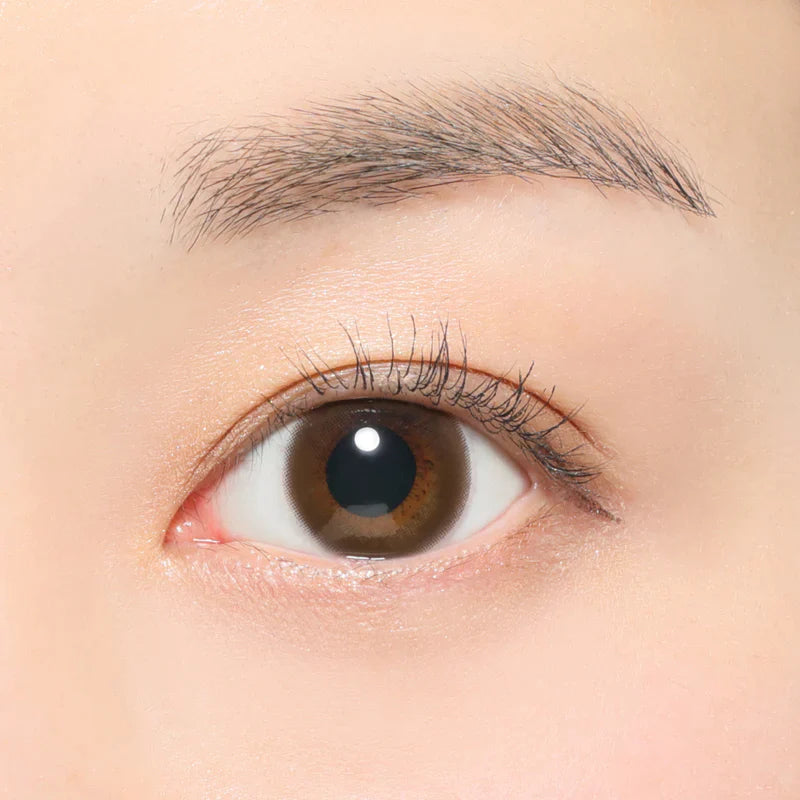 ReVIA Circle Brown (DAILY/10P) Mashed Potato Company Colored Contact Lenses