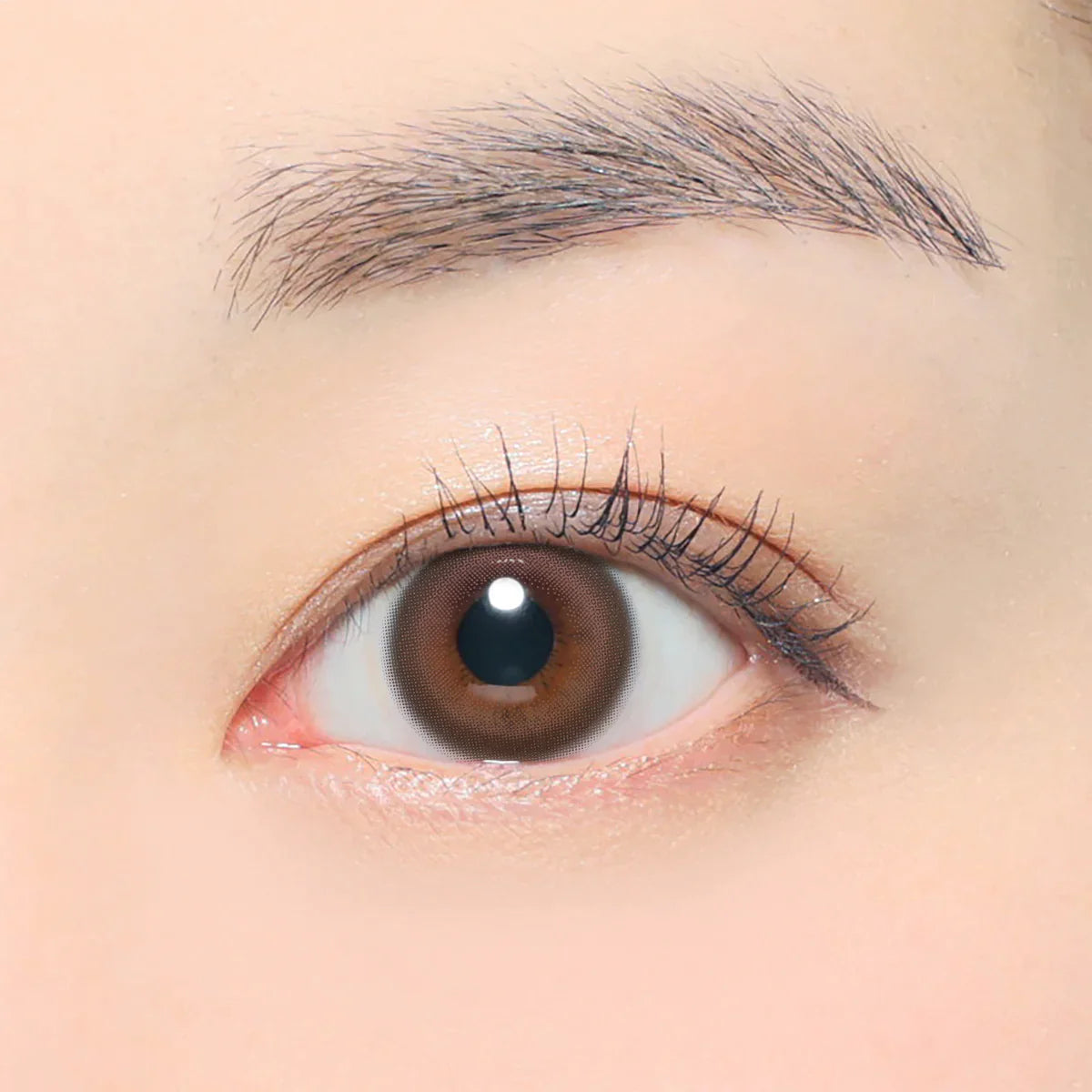 ReVIA Hug Me (DAILY/10P) Mashed Potato Company Colored Contact Lenses