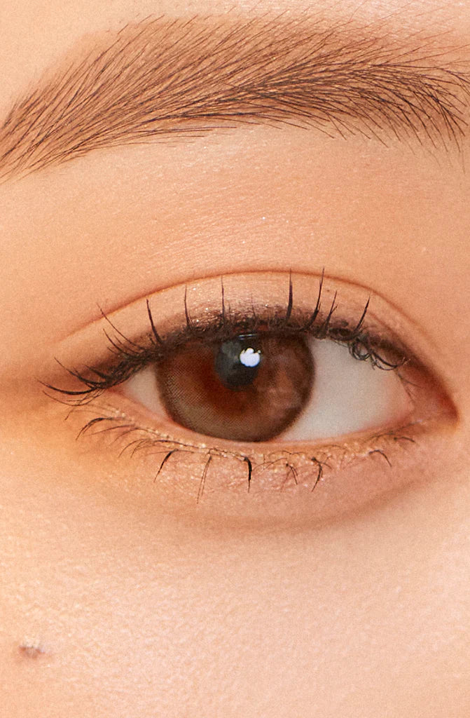 Hapa Kristin Secretive Kristin Beige (Month/2P) Mashed Potato Company Colored Contact Lenses